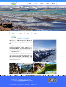 天津網站開發(fā) 旅游官網網站開發(fā)