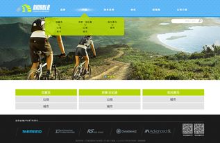 天津網站開發 奔唐自行車官網網站開發