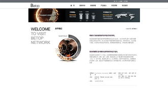 天津網(wǎng)頁開發(fā)與工業(yè)制造官網(wǎng)設(shè)計(jì)——奔唐網(wǎng)絡(luò)的卓越實(shí)踐